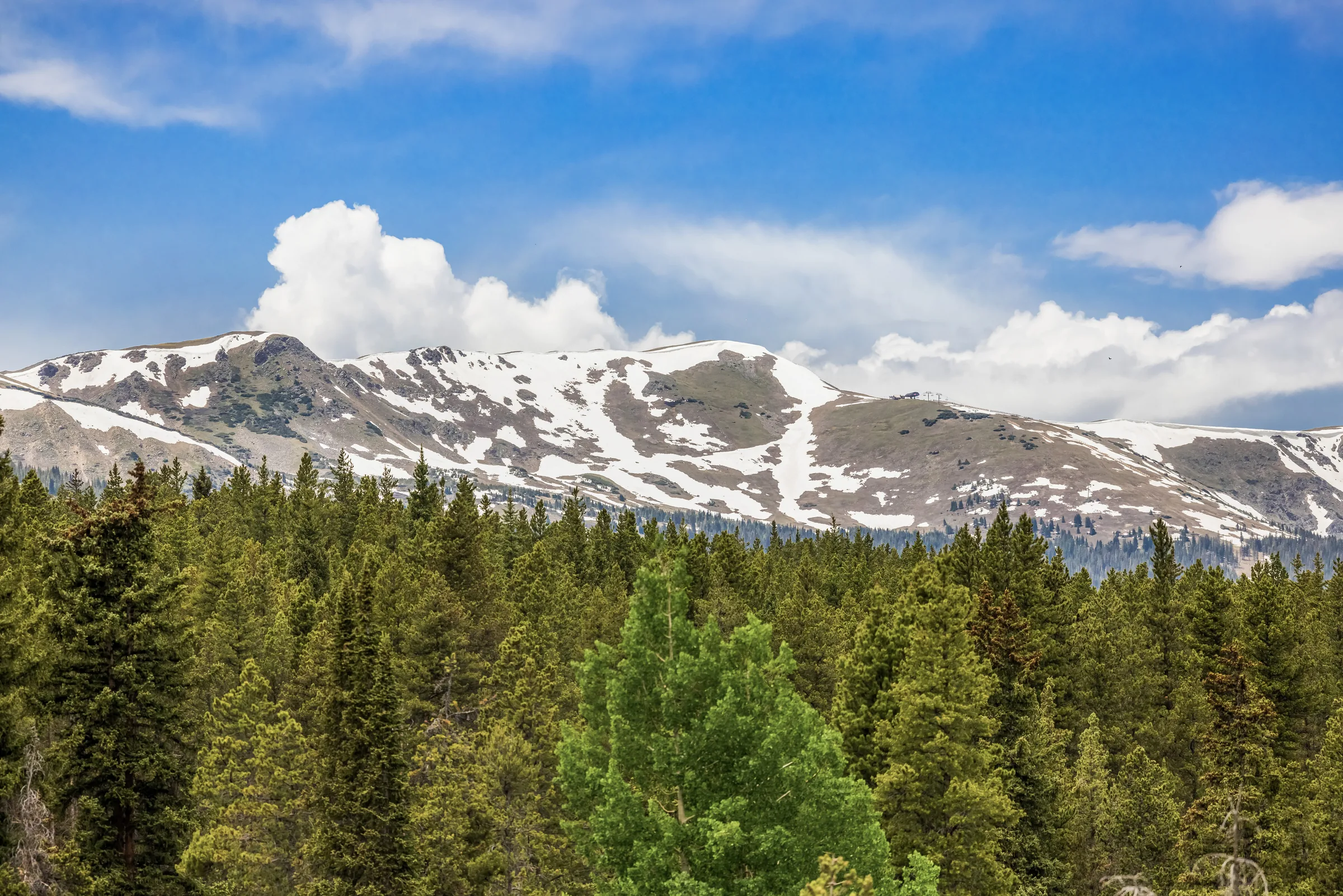 Snowy mountain view beyond a forested mountain home
