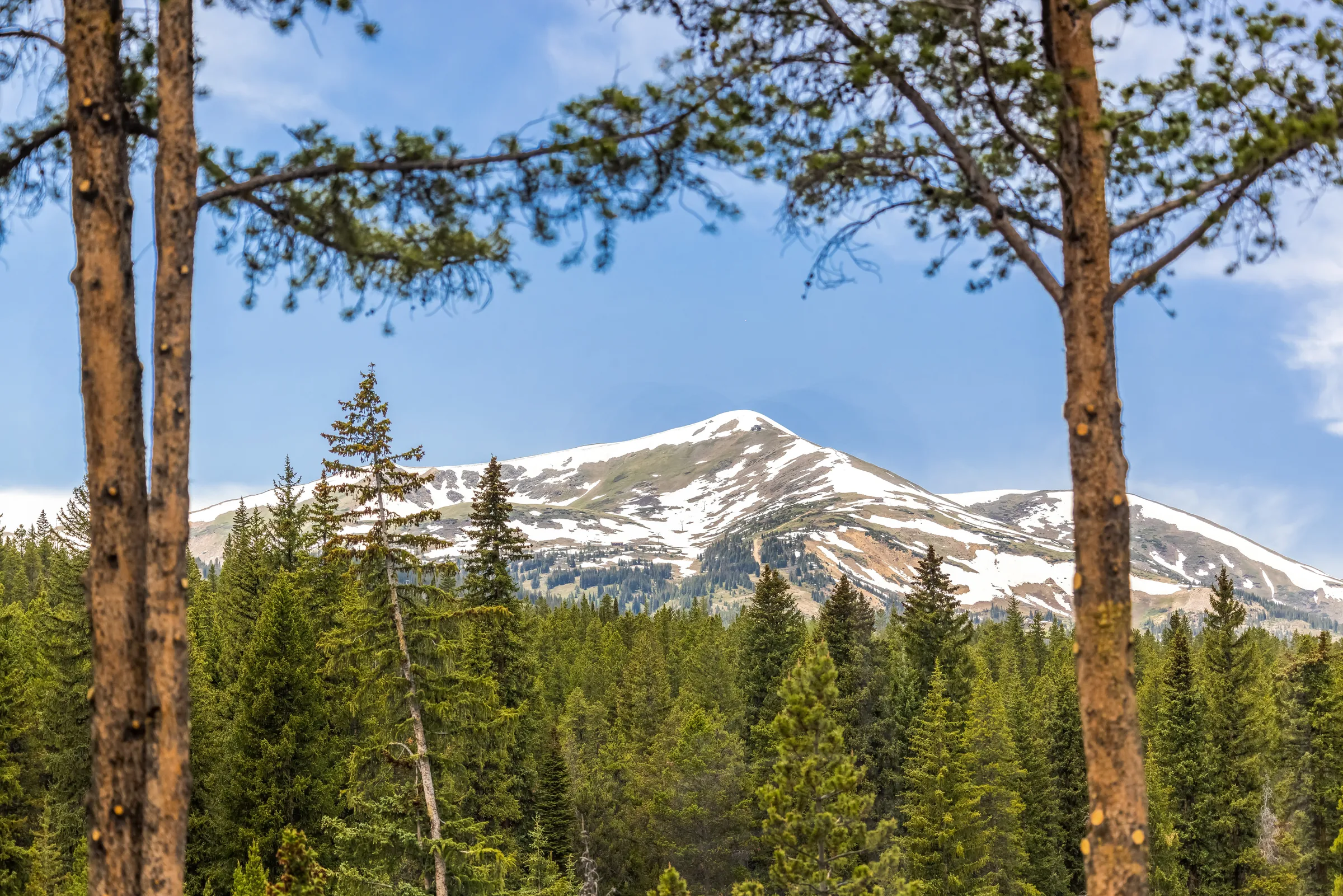 Mountain view beyond a forested mountain home